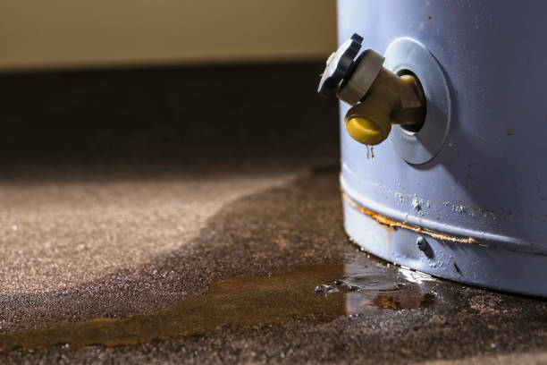 Best Water damage restoration process  in Dunlap, TN