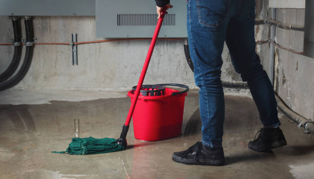 Best 24/7 water damage repair  in Dunlap, TN