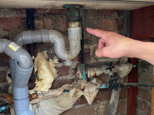 Best Water damage restoration near me  in Dunlap, TN