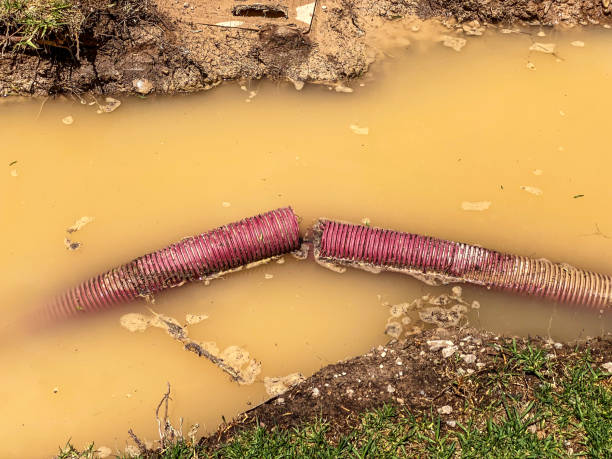 Best Basement water damage restoration  in Dunlap, TN