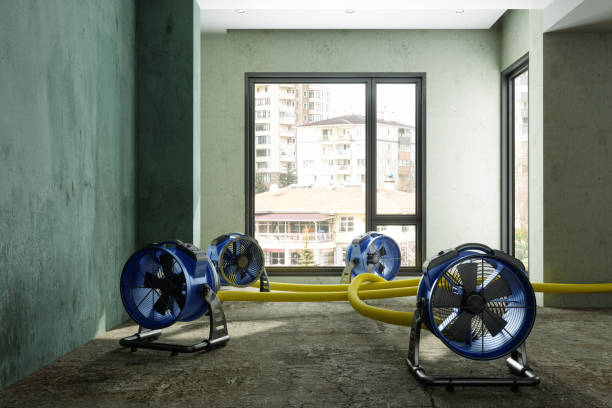 Best Emergency water damage restoration  in Dunlap, TN