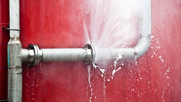 Best Flood restoration services  in Dunlap, TN